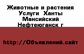 Животные и растения Услуги. Ханты-Мансийский,Нефтеюганск г.